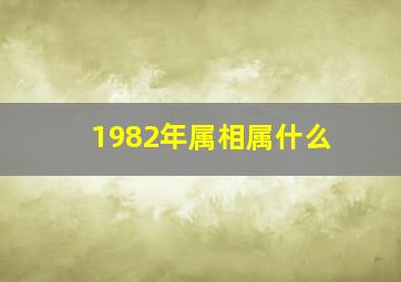 1982年属相属什么