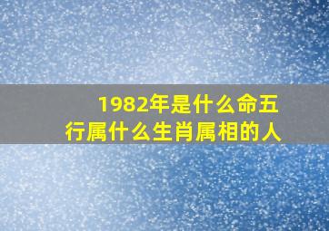 1982年是什么命五行属什么生肖属相的人