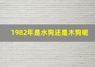 1982年是水狗还是木狗呢