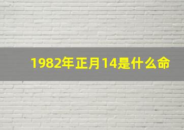 1982年正月14是什么命