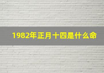 1982年正月十四是什么命