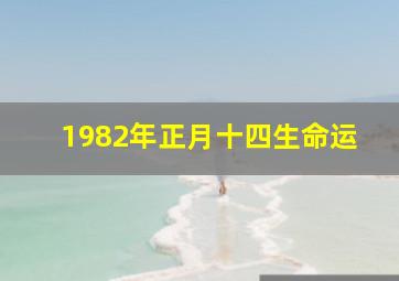 1982年正月十四生命运