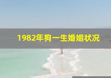 1982年狗一生婚姻状况