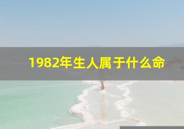 1982年生人属于什么命