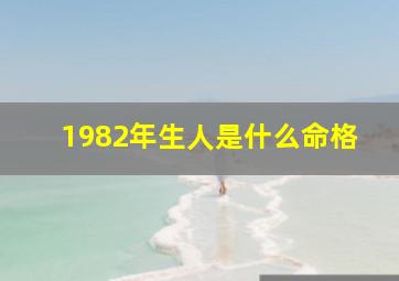 1982年生人是什么命格