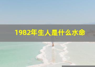 1982年生人是什么水命