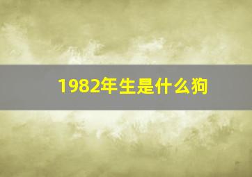 1982年生是什么狗