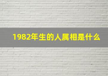 1982年生的人属相是什么