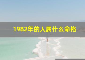 1982年的人属什么命格