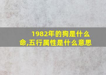 1982年的狗是什么命,五行属性是什么意思