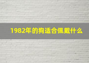 1982年的狗适合佩戴什么