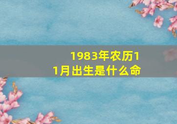 1983年农历11月出生是什么命