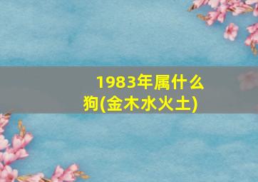 1983年属什么狗(金木水火土)