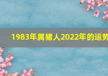 1983年属猪人2022年的运势