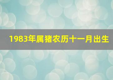 1983年属猪农历十一月出生