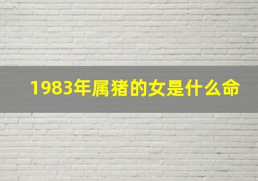 1983年属猪的女是什么命