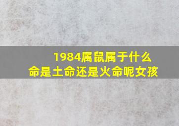 1984属鼠属于什么命是土命还是火命呢女孩