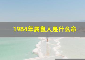 1984年属鼠人是什么命