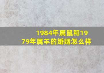 1984年属鼠和1979年属羊的婚姻怎么样