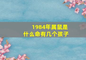 1984年属鼠是什么命有几个孩子