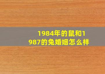 1984年的鼠和1987的兔婚姻怎么样