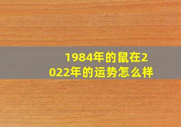 1984年的鼠在2022年的运势怎么样