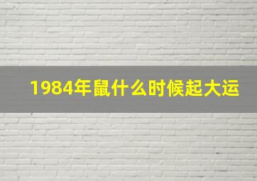 1984年鼠什么时候起大运