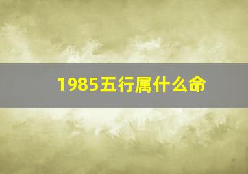 1985五行属什么命