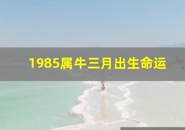 1985属牛三月出生命运