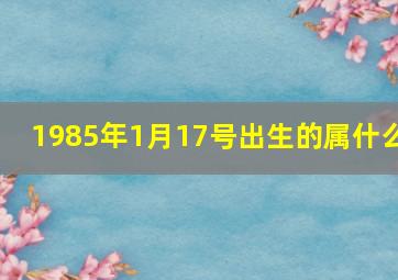 1985年1月17号出生的属什么