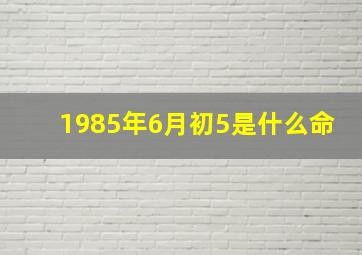 1985年6月初5是什么命