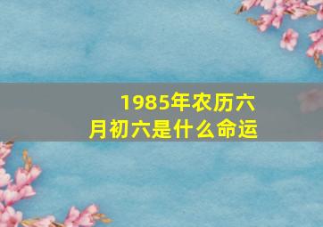 1985年农历六月初六是什么命运