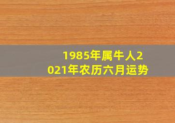 1985年属牛人2021年农历六月运势