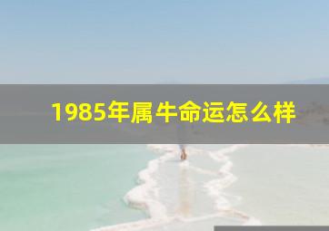 1985年属牛命运怎么样