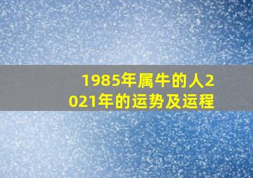 1985年属牛的人2021年的运势及运程