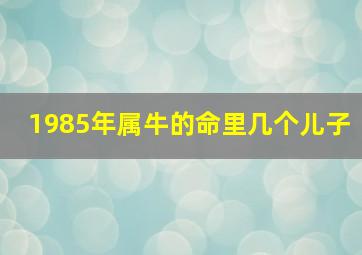 1985年属牛的命里几个儿子