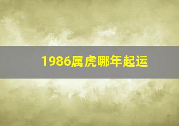 1986属虎哪年起运