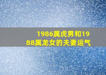 1986属虎男和1988属龙女的夫妻运气