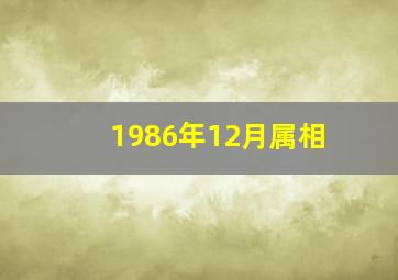 1986年12月属相