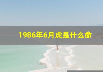 1986年6月虎是什么命