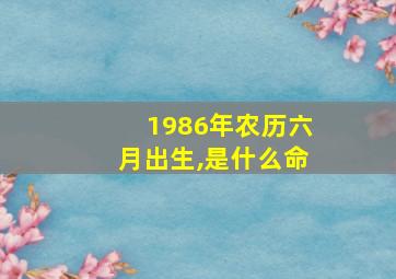 1986年农历六月出生,是什么命