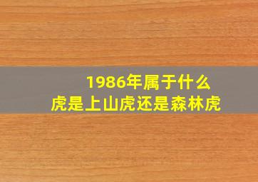 1986年属于什么虎是上山虎还是森林虎