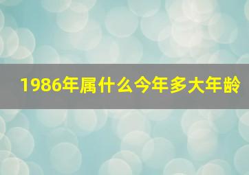 1986年属什么今年多大年龄