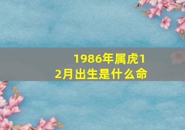 1986年属虎12月出生是什么命