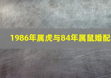 1986年属虎与84年属鼠婚配