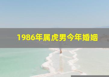 1986年属虎男今年婚姻