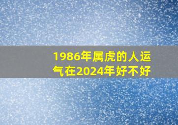 1986年属虎的人运气在2024年好不好