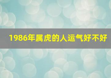 1986年属虎的人运气好不好