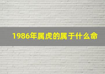 1986年属虎的属于什么命