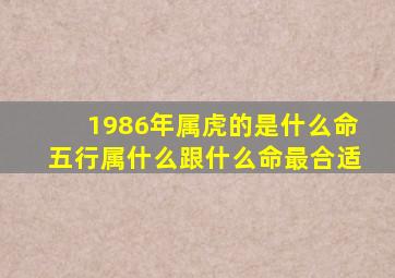 1986年属虎的是什么命五行属什么跟什么命最合适